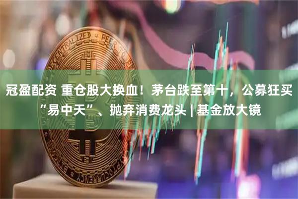 冠盈配资 重仓股大换血！茅台跌至第十，公募狂买“易中天”、抛弃消费龙头 | 基金放大镜